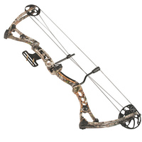 compound bow and arrow