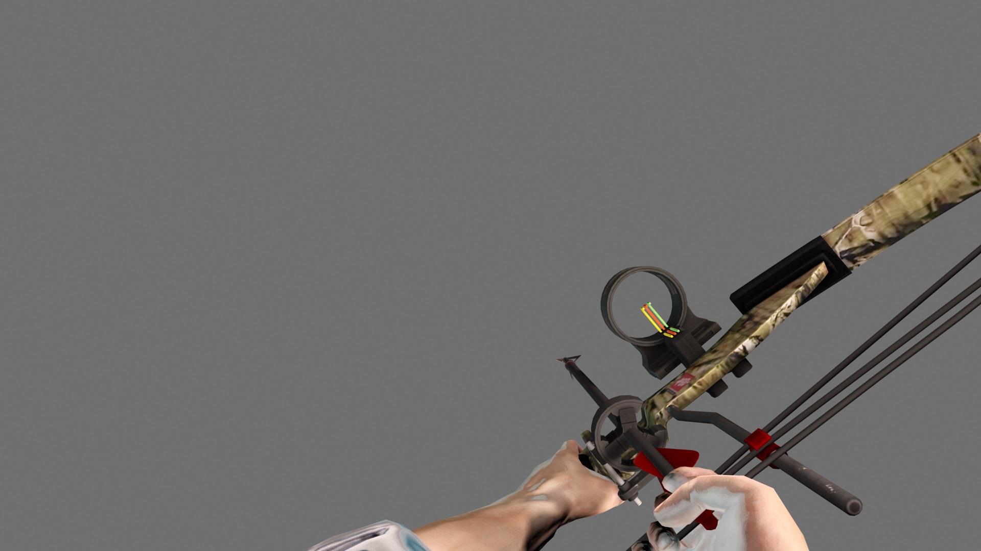 Compound Bows
