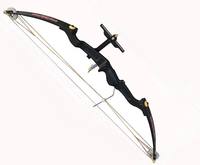Is a compound bow good for beginners?