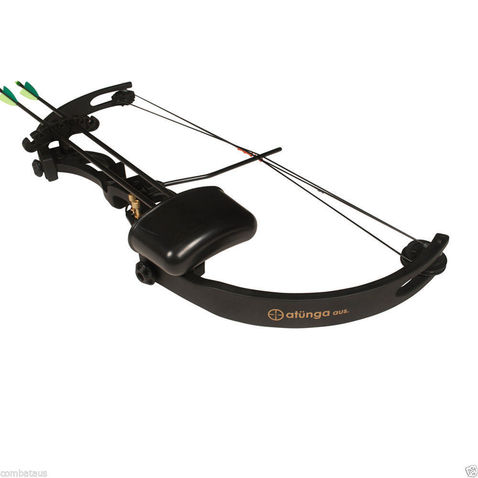 History of Archery